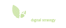 Created by Buxum Digitail Strategy - David Lartigue webdesigner